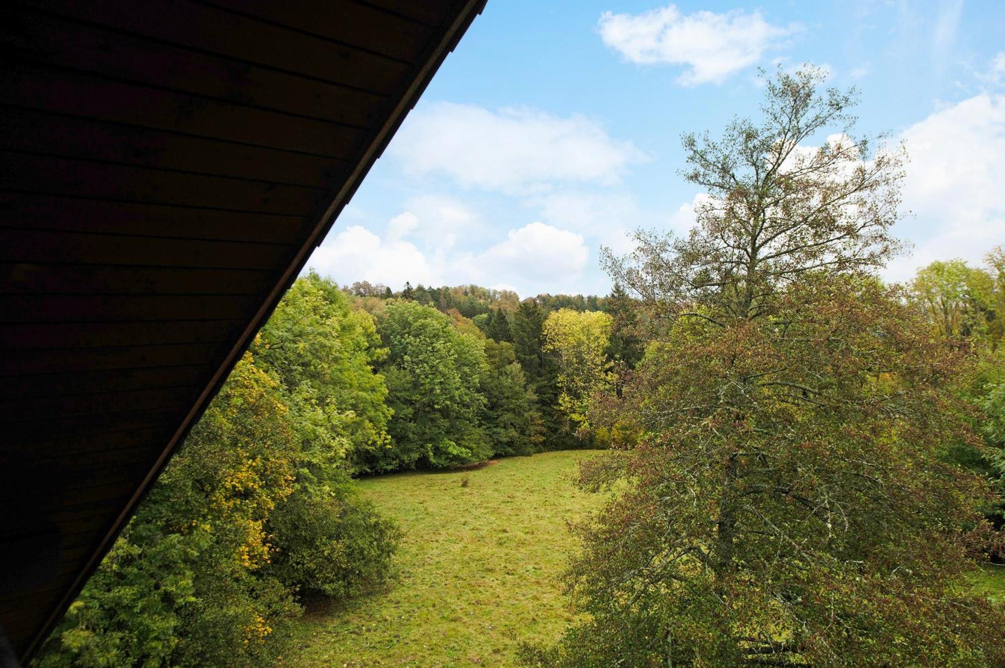Landhaus Am Schmiedebach Wittenschwand Extérieur photo